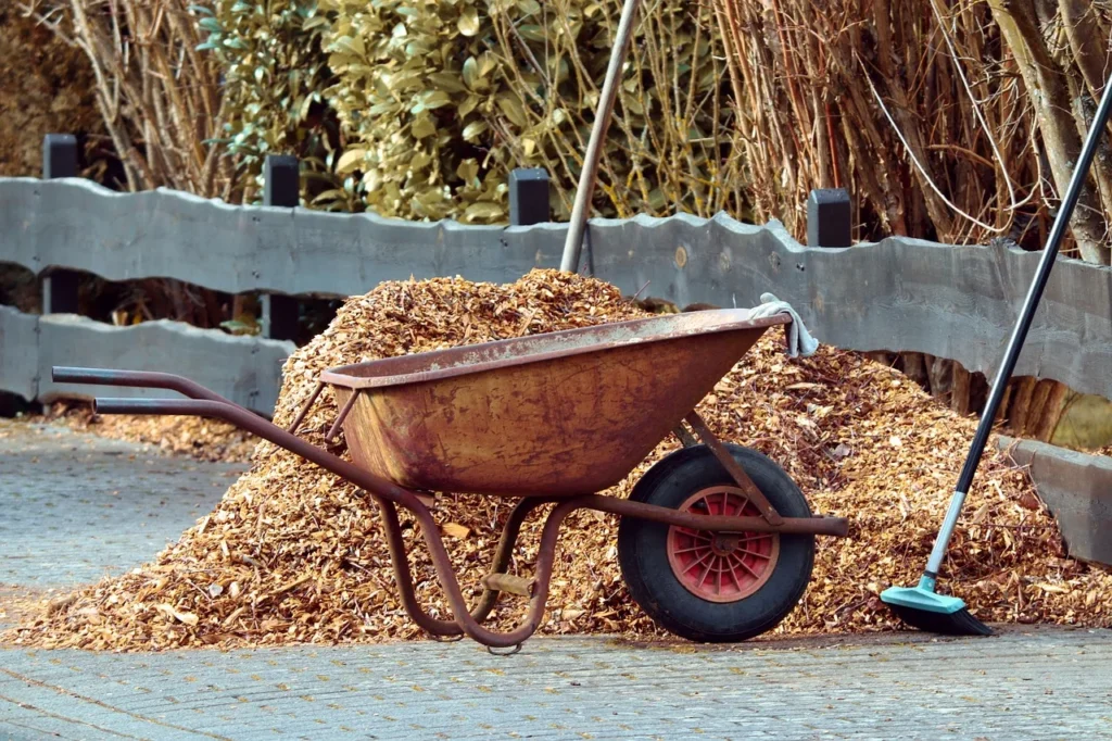 vegetable gardening tools: Wheelbarrow