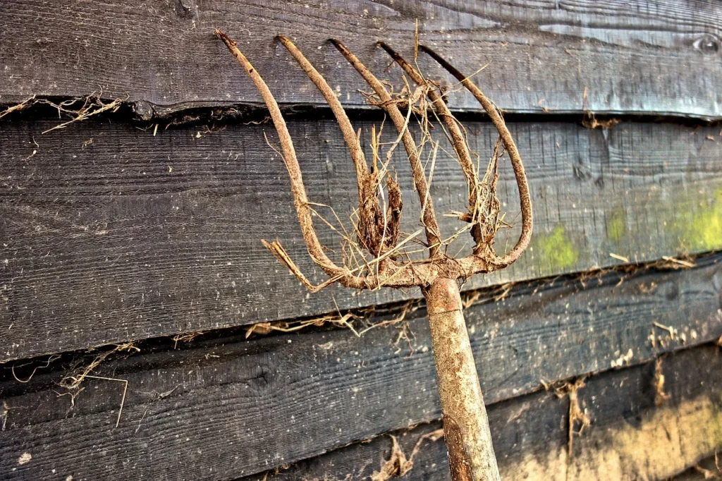 vegetable gardening tools: garden fork