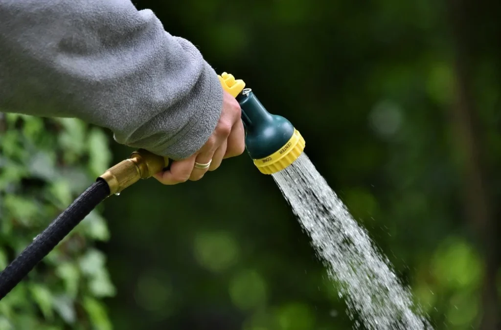 vegetable gardening tools: watering hose